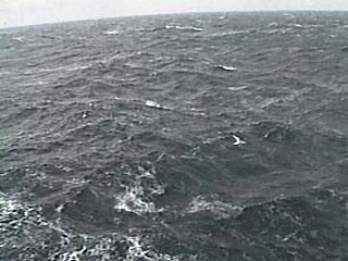 Норвежец переплывший тихий океан