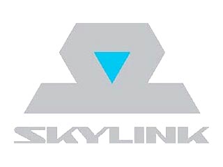 Линк телеком нижний. Skylink логотип. Skylink игры. Скайлинк Нижний Новгород официальный сайт. Skylink Артур.